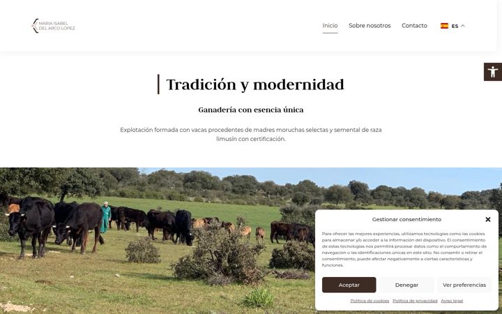 Screenshot of mariaisabeldelarcolopez.es