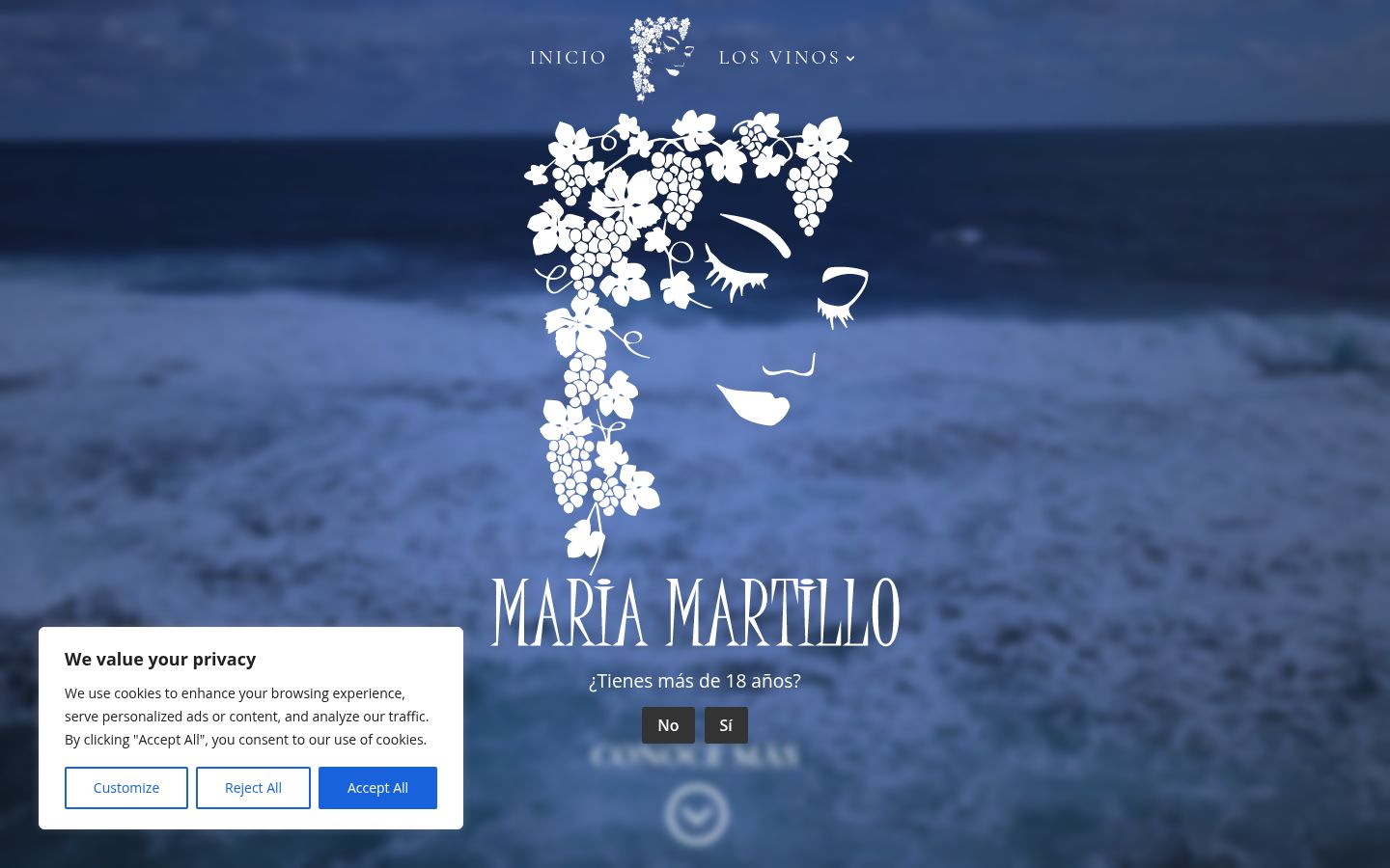 Captura de pantalla del banner de consentimiento mostrado antes de cualquier interacción