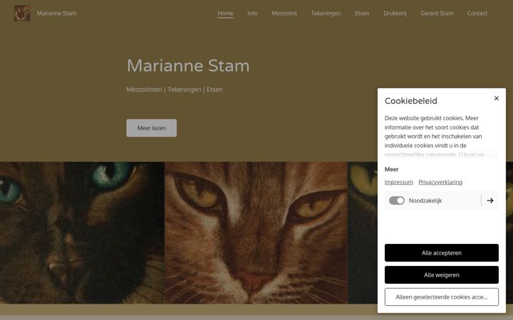 Screenshot of mariannestam.nl
