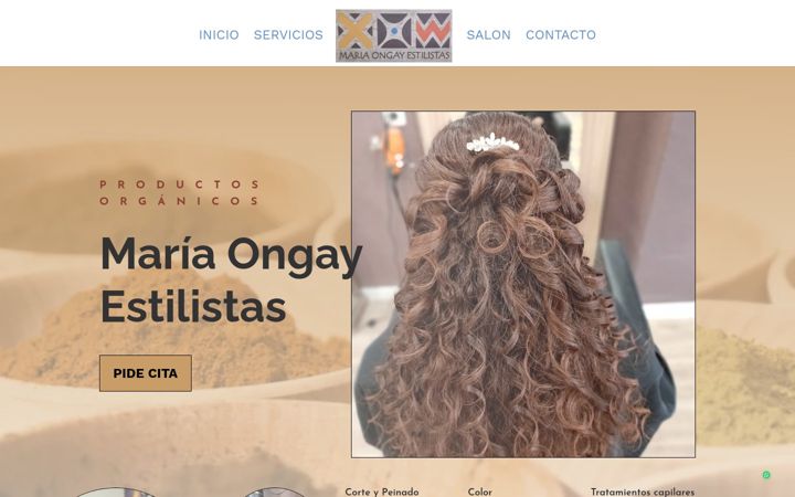 Screenshot of mariaongayestilistas.com