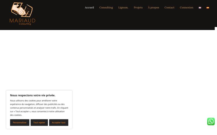 Screenshot of mariaud-consulting.com