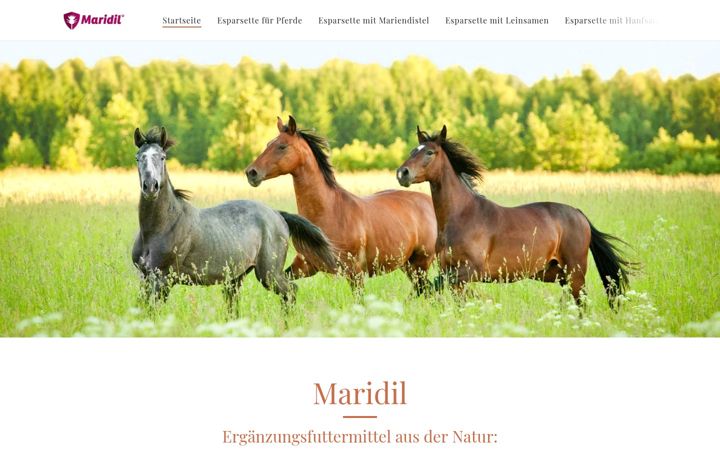 Screenshot of maridil.de