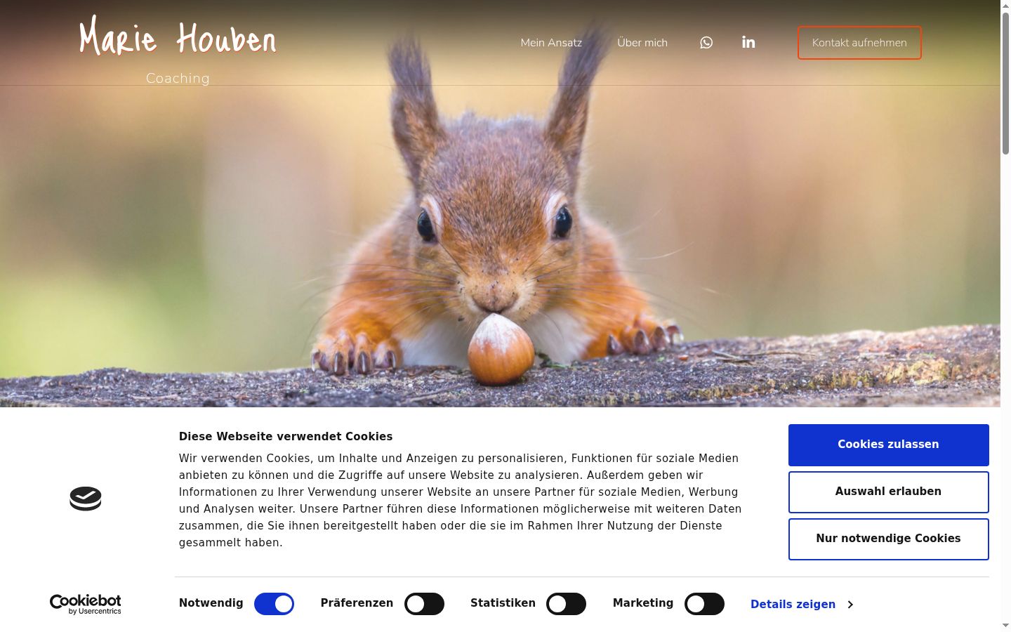 Screenshot del banner di consenso mostrato prima di qualsiasi interazione