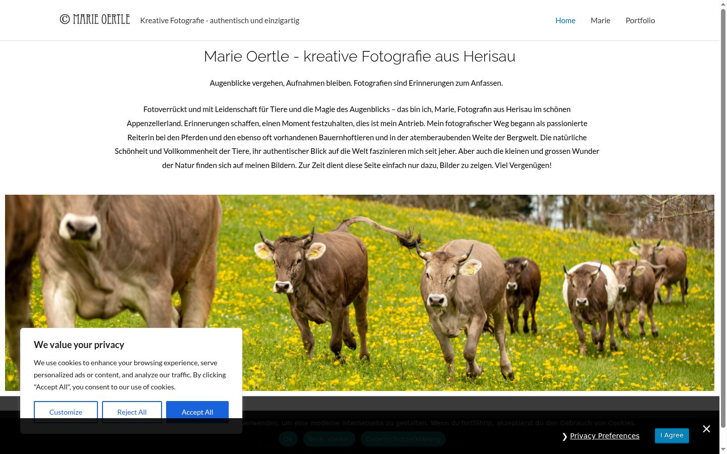 Screenshot del banner di consenso mostrato prima di qualsiasi interazione