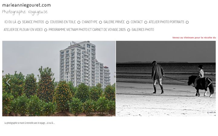 Screenshot of marieanniegouret.com