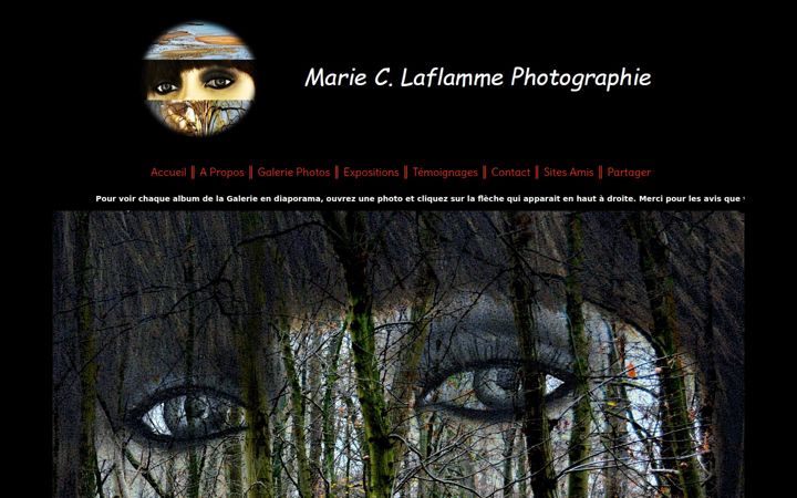 Screenshot of marieclaudelaflamme.com