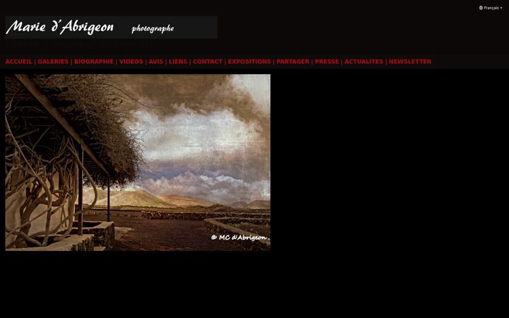 Screenshot of mariedabrigeon.com