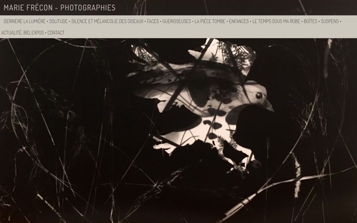 Screenshot of mariefrecon.com