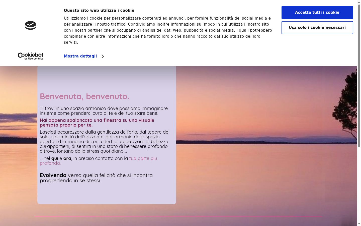 Screenshot del banner di consenso mostrato prima di qualsiasi interazione