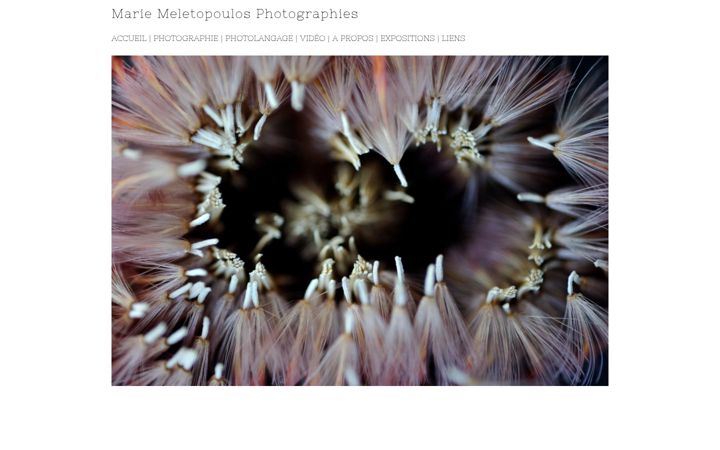 Screenshot of mariemeletopoulos.com