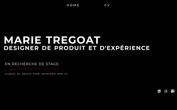 Screenshot of marietregoat.fr