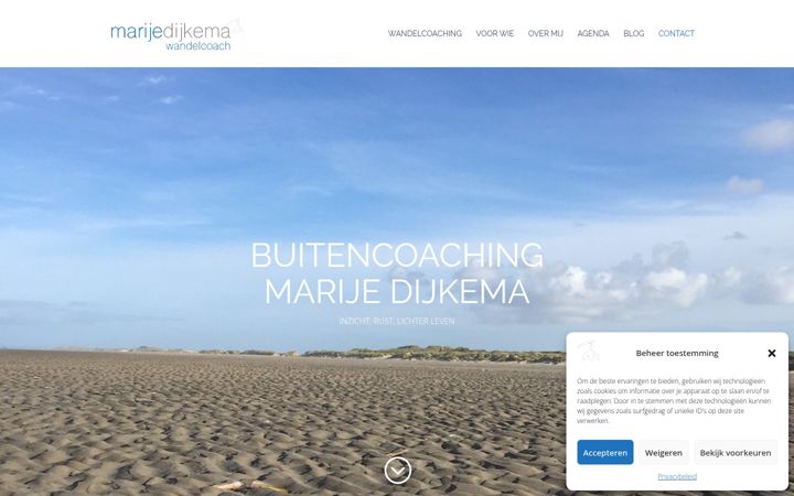 Screenshot of marijedijkema.nl