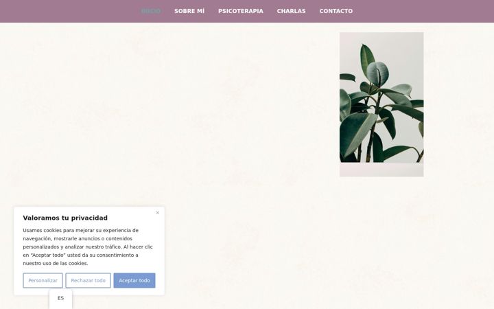 Screenshot of marinalizarraldepsicologa.com