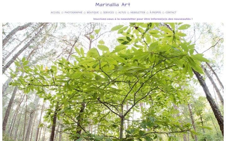Screenshot of marinallia-art.fr