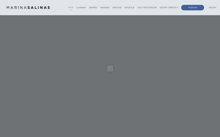 Screenshot of marinasalinas.com
