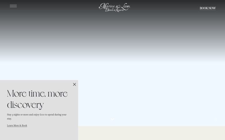 Screenshot of marineandlawn.com