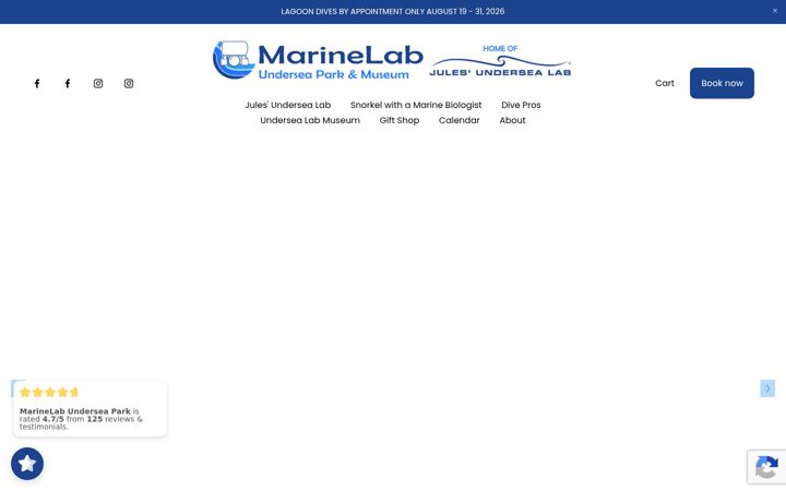 Screenshot of marinelabunderseapark.org