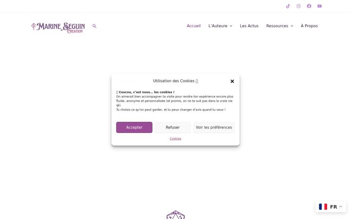 Screenshot of marineseguincreation.fr