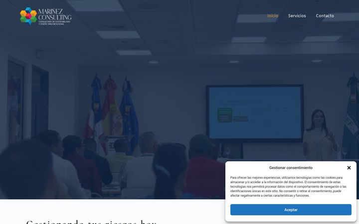 Screenshot of marinezconsulting.com