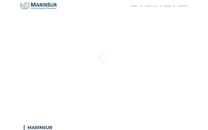 Screenshot of marinsur.com