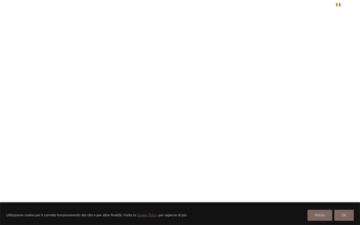 Screenshot of mario1919.com