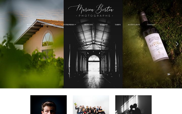 Screenshot of marionbertin.com