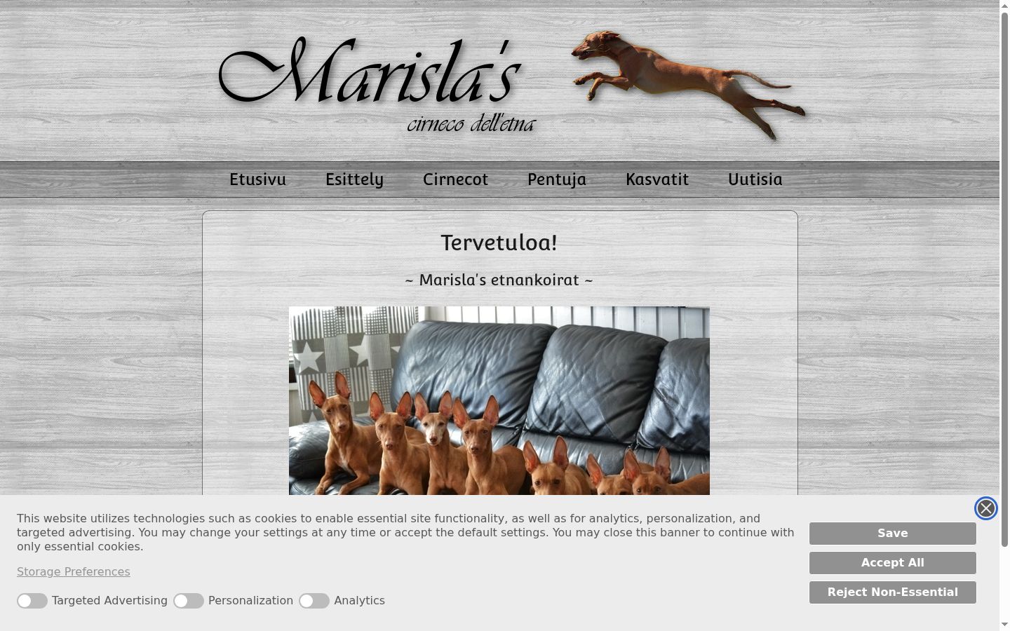 Ekrānuzņēmums ar piekrišanas baneri, kas tika rādīts pirms jebkādas mijiedarbības