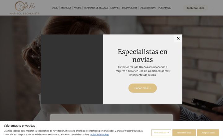 Screenshot of marisolescalante.com