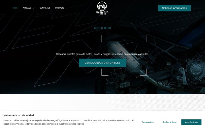 Screenshot of mariventmotors.com