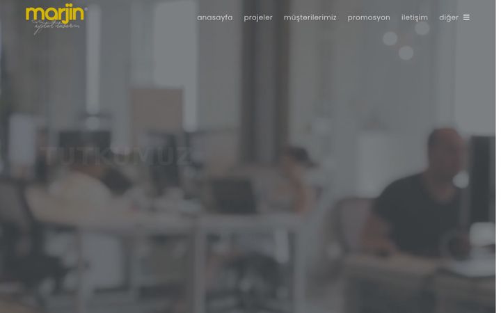 Screenshot of marjin.net