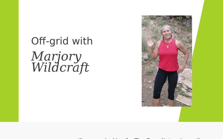 Screenshot of marjorywildcraft.com