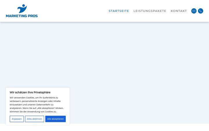 Screenshot of marketing-pros.de