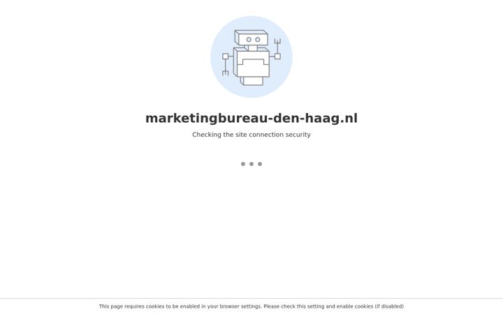 Screenshot of marketingbureau-den-haag.nl