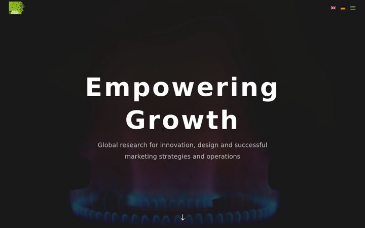 Screenshot of markt-consult.com