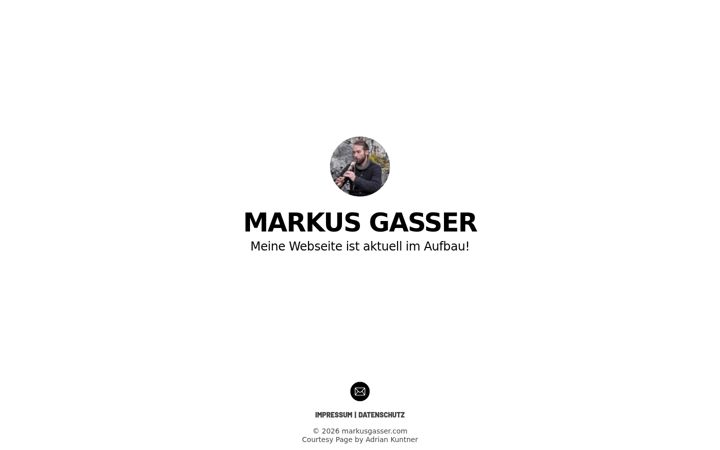 Screenshot of markusgasser.com