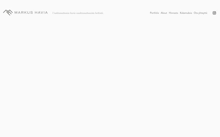 Screenshot of markushavia.com