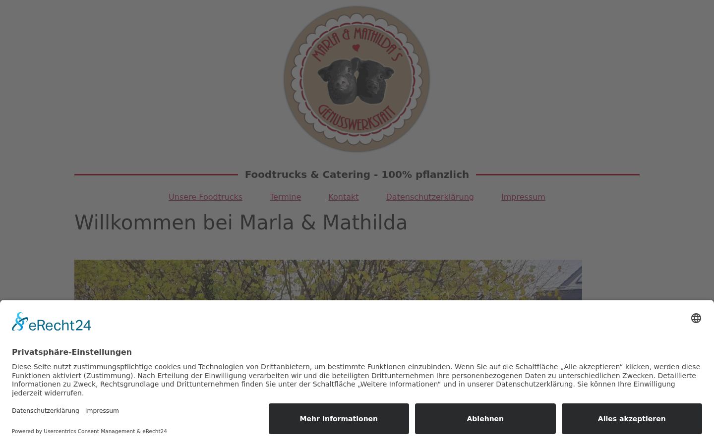 Captura de pantalla del banner de consentimiento mostrado antes de cualquier interacción
