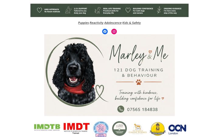 Screenshot of marleyandme121.com