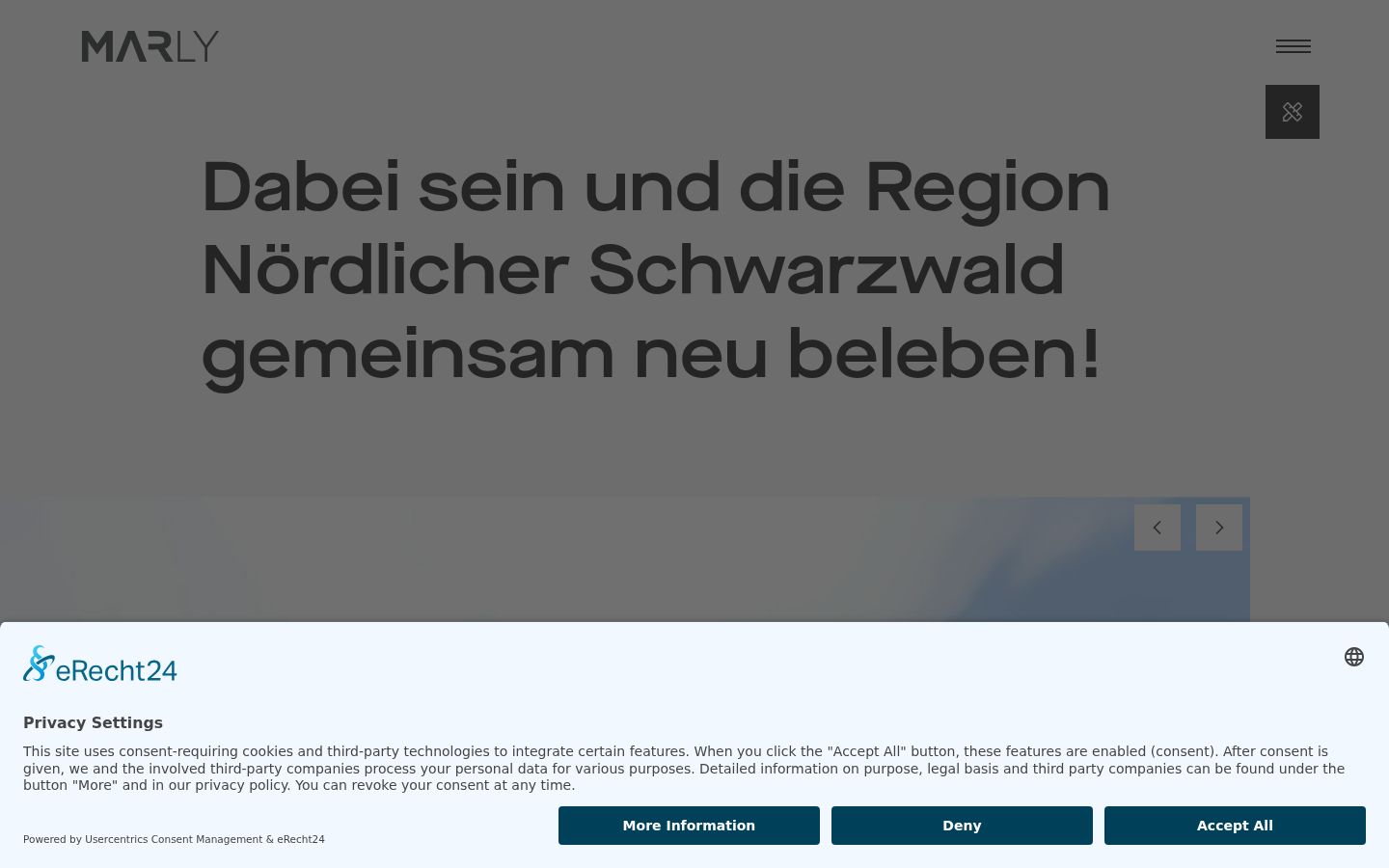 Sutikimo reklamjuostės, rodytos prieš bet kokią sąveiką, ekrano kopija