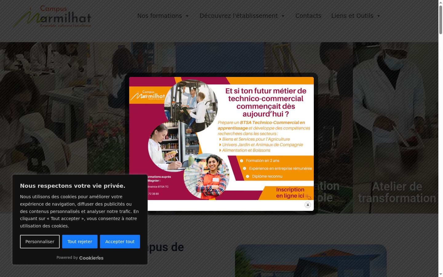 Captura de ecrã do banner de consentimento apresentado antes de qualquer interação