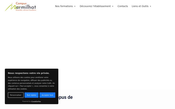 Screenshot of marmilhat.fr