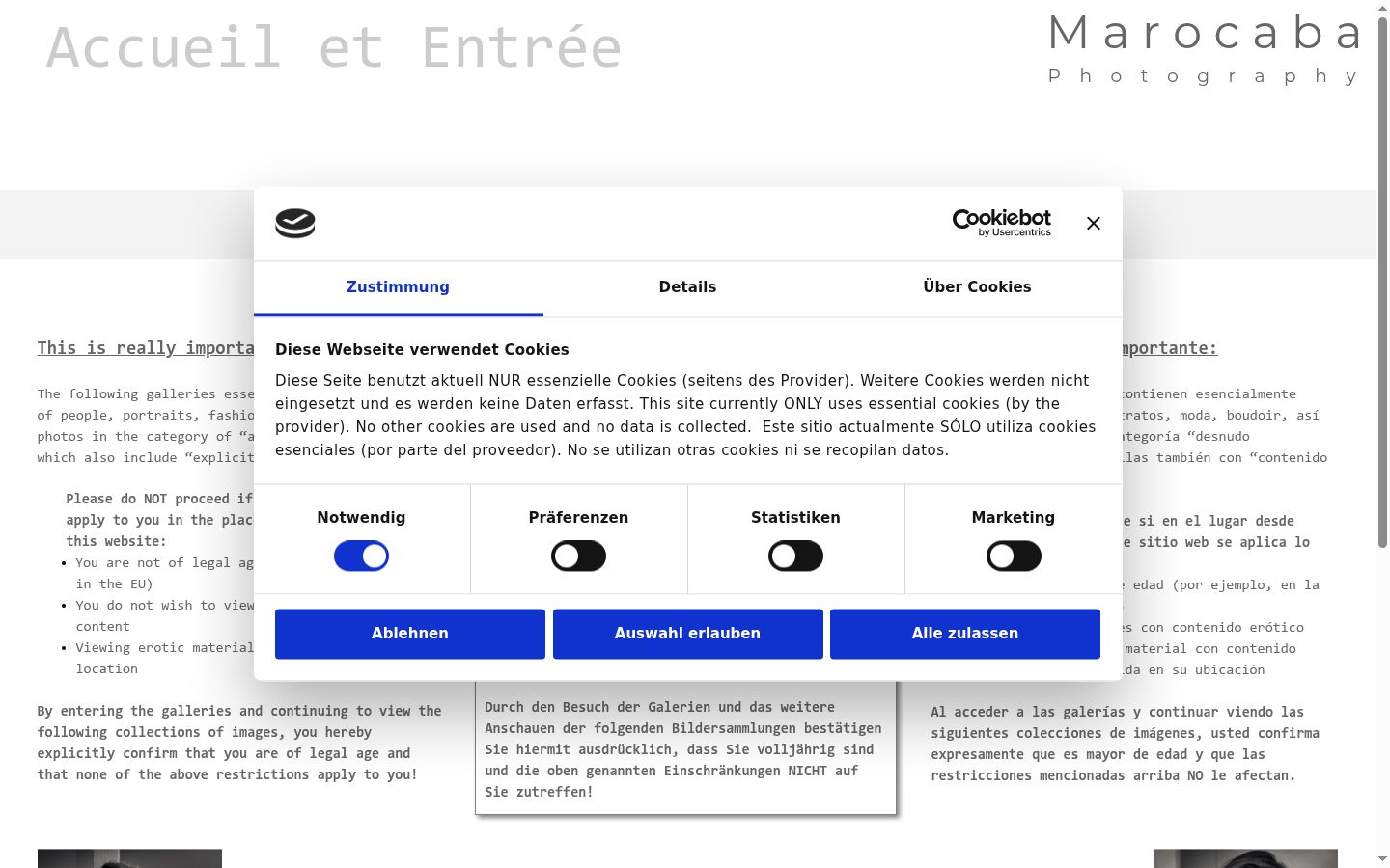 Capture d'écran de la bannière de consentement affichée avant toute interaction