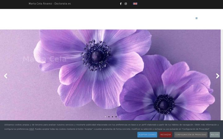 Screenshot of martacelaflordelis.com