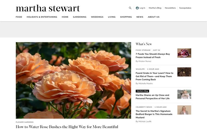 Snímek obrazovky marthastewart.com