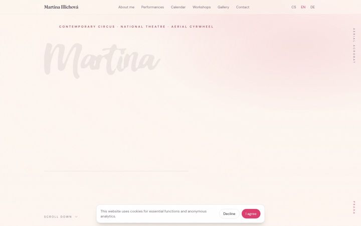 Screenshot of martinaillichova.com