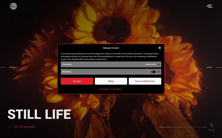 Screenshot of martindongo.com