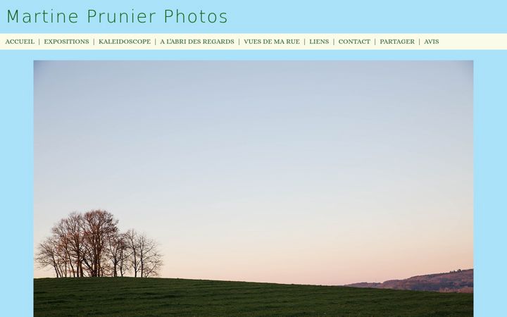Screenshot of martineprunier.com
