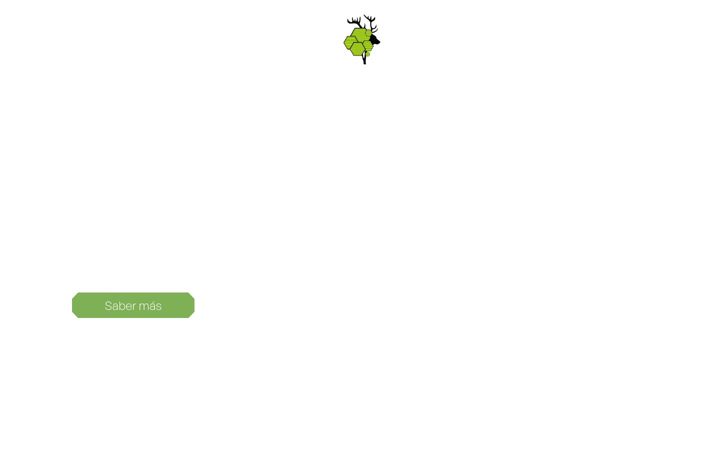 Screenshot of martinezdeer.com