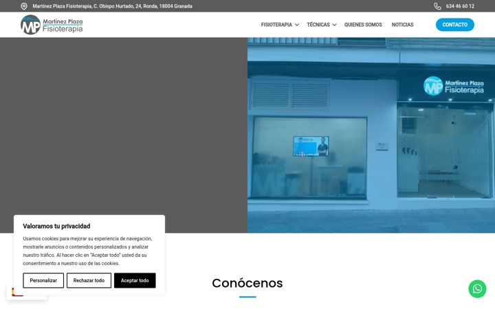 Screenshot of martinezplazafisioterapia.com