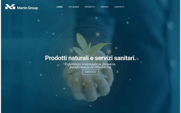 Screenshot of martingroupsrl.it